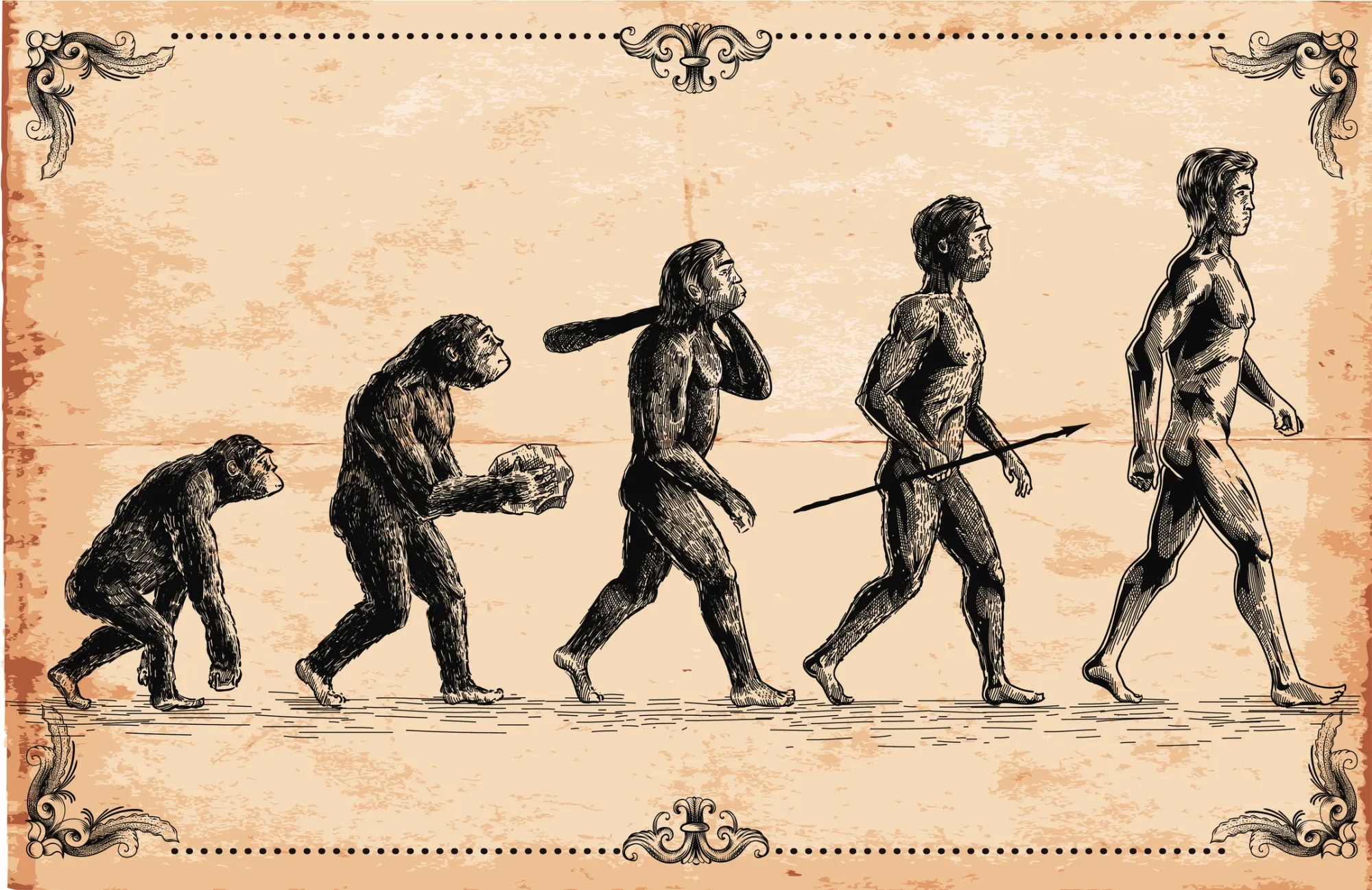 Darwin et la théorie de l’évolution